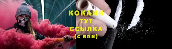 ГАЛЛЮЦИНОГЕННЫЕ ГРИБЫ Аркадак