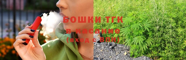 ГАЛЛЮЦИНОГЕННЫЕ ГРИБЫ Аркадак