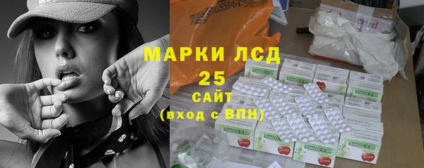 гидра Арсеньев