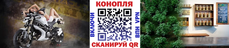 Каннабис конопля где купить наркотик Кирово-Чепецк